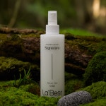 라베스트 시그니처 헤어 퍼퓸 미스트 2종 [메리미향, 머스크향] 250ml 미용실 헤어샵 : 선덕여왕몰