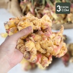 [삼촌농장] 향긋한 서산 태안 생강 특상품 1kg : 삼촌밥먹자