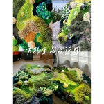 잔디러그 꽃밭 자수 단모 거실 거친 정원 이끼 셀프 만들기 디자인 이끼러그 필요 스킬자수 : 타이탄리아