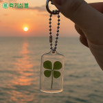 [럭키심볼] 행운의 네잎클로버 생화 아크릴 키링&가방고리 /열쇠고리/열쇠키링/행운선물/네잎클로버키링/가방키링/키홀더/차키링 : 주식회사... 