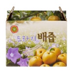 무설탕 도라지배즙 국내산 아기 성인 착즙 건강즙 110ml 50포 : 제일건강원몰
