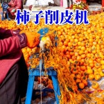 껍질벗기는기계 만들기 뾰족형 자동 커터 껍질 액세서리 감깎는기계 황평정 깎는기계 형광 감껍질 곶감만들기 탈피기 형광 황평정 탈피기... 