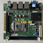 SV1-H8146 : 푸꾹팜