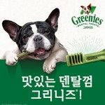 소프트덴탈껌 그리니즈티니 양치껌 개껌 170g : 마므레상수리나무