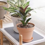 프레소 아트화분 인테리어화분 빌라 조화 꽃 : 프레소마켓