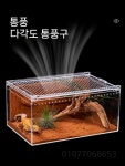 게코 사육장 크레스티드 파충류 양서류 투명 케이지 PC L 30x20x15 CM : 황금알1