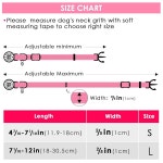 스마트 QR 코드가 포함된 캣프로 캣칼라 반려동물 ID 태그, 실시간 스캔 알림, 수정 및 공유 가능한 프로필, 벨이 반사 나일론, 안전한 분리... 