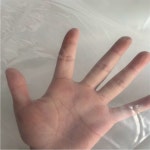 농업 농장 온실 방우 보호 커버 야채 보온 유지 곤충 PE 정원 메쉬 플라스틱 필름 Width Thickening 0.08mm : store99999