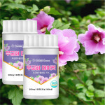 무궁핏 무궁화핏 60정 2병 : 모두존