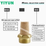 BSL01/02/03/04 BESL01/02/03/04/M5 YIYUN 공압 부품 공압 머플러 100pcs/50pcs/20pcs BSL/BESL 시리즈 : 이룸종합상사36