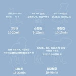 애견드라이기 펫샤워 드라이기 애견샵 애견목욕샵 블루 : 샘터하우스