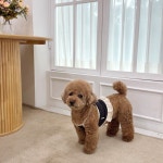 하이위드 강아지 모먼트 커플룩 티셔츠 ( S-XL) : hiwith