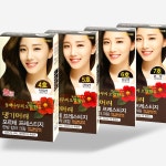 새치염색약 댕기머리 포르테 프레스티지 한방칼라크림 60g 모발 윤기 셀프 염색약 : 주식회사 필즈