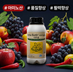 테라솔 500ml 유리아미노산 활력향상 냉해 서리피해 고온피해 예방 고추 식물 화분 영양제 : 티움네이처