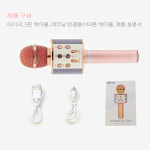달냥가게 블루투스 마이크 휴대용 노래방 무선마이크 가정용 야외용 캠핑 : 달냥가게