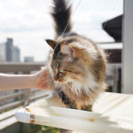 루루펫 고양이 해먹 : 리치107