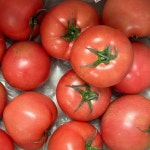 햇 완숙 찰토마토 2kg, 1개 : 대박과수원