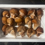 국내산 가정용 참송이버섯 국내산 무농약 500+500g : 주윤스토어