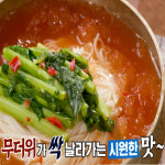 여름 열무물김치 비빔 송가네 당일제조 비빔면 돌산 여수 열무김치 여름 국수 10kg : 울넷