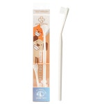 페디슨 덴탈케어 라지 칫솔 : 개고몰.