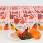 메리도프 자연 건강식 강아지 화식 노견 회복식 50g x 60개 3kg : 메리도프