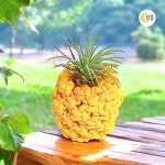마크라메 파인애플 화분 만들기 키트 이오난사 식물세트 학생 어르신 : 달콩 마트