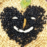 야곱의꿈농장 국산 검은콩 서리태 쉐이크 500g, 200gx2개 타먹는 식물성 단백질 : 야곱의꿈농장