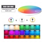 구글 알렉사용 LED 천장 조명 투야 와이파이 지그비 램프 침실 스마트 홈 : 다온전자