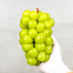 [품질보장] 고당도 샤인머스켓 명절선물 망고포도 : 에덴그린팜