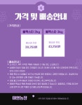[산지직송] 씨 없는 포도 블랙스타 2kg/3kg : 태영농장 영월김삿갓포도