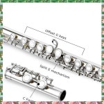 스포츠 16 폐쇄형 오픈 홀 C 키 전문 가로 플루트 콘서트 악기 상자 청소 천 스틱 장갑 : 백호홀딩스