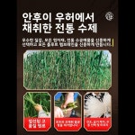 프로페셔널 2025 플루트 멤브레인 세트 프리미엄급 대나무 플루트 앙상블 공연 및 시험용 액세서리 : 백호 글로벌