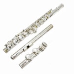 전문 플루트 황동 클로즈 C 튠 E 키 실버 도금 악기 케이스 및 액세서리 포함 16 홀 : 십삼룡산업