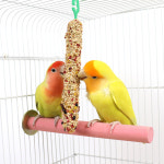 키키 스틱 벗지 2pcs 3종 앵무새 영양바 간식 애완조 사료 모이 새 먹이 용품 : 앵무새용품 마이버드샵