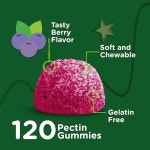 어린이 구미용 비티 아연, 25mg - 및 청소년을 위한 면역 지원 강력한 천연 항산화제, 아연 비타민 보충제 비건, 젤라틴 프리, 글루텐 프리 맛있는... 