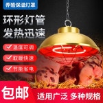 농장 보온갓등 난방 돼지 조명 온열등 보온램프 250W 할로겐 하우스 축사 4 신형 트럼펫 램프 커버 다단 온도 1 신형 프리미엄 트럼펫 램프 커버... 