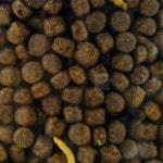 하랑이상품 고슴도치사료 800g 펠렛사료 고슴도치먹이 : 하랑이추천상품