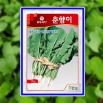 춘향이열무 남원열무 씨앗 종자 30g : 한양농업마트