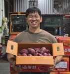 베니지민고구마 지은농원고구마 꿀고구마 : 전국 농가자랑