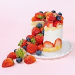 딸기케이크 딸기다담 시루 생 과일 디저트 생일 케익 전국 택배 배달 : 케익팩토리 딜리버리