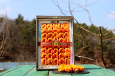 선물용 영동곶감(둥시 대봉 월하시 반건시) 추석 설 명절선물세트 부모님 선물 간식 이바지 : 추풍령 감골농장