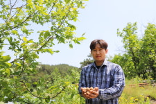 국산호두 1kg 건조 알호두 피호두 견과류 6시내고향방영영동농가 부럼 영양간식 오메가3 : 추풍령 감골농장