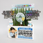 띵팟 세탁소 가게오픈선물 귀여운화분 개업미니화분 금전수 황군팩토리 : 띵팟