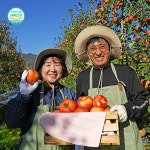 임실애플팜 바름 주스 국내산 풋사과 ABC 100% 선물 HACCP 사과, 풋사과, ABC, 100ml, 7개 : 숲속사과