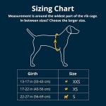 러프웨어 히치 하이커 반려견 백팩 메쉬가 있는 핸즈프리 폼 패딩 내구성 폴리에스터 소형견을 디자인 현무암 그레이 X Small XX Small... 