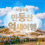 강원 정선병방치 스카이워크+전망대+아리랑 시장+민둥산+억새트래킹 : 풍경있는여행