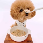 [환불 보장] 강아지 보양식 3종 세트 삼계죽 소불고기 닭갈비 반려견 자연식 화식 수제 간식 : 위닝푸드