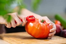 ARCOS 아르코스 토마토 필러 레드 껍질제거기 블레이드 43.7mm 톱니날 파도칼 필러 607420 : 누벨핑크