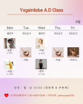평일 요가 원데이클래스 1회권 (힐링 / 하타 / 빈야사 / 명상) : 요가인리베 포레스트