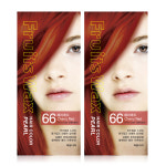 과일나라 진주펄 염색약 120g, 66호 체리레드, 2개 : 지엘코스